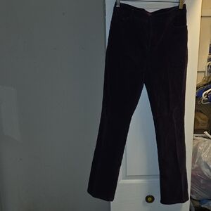 Charter Club Petite Plum Corduroy Pants